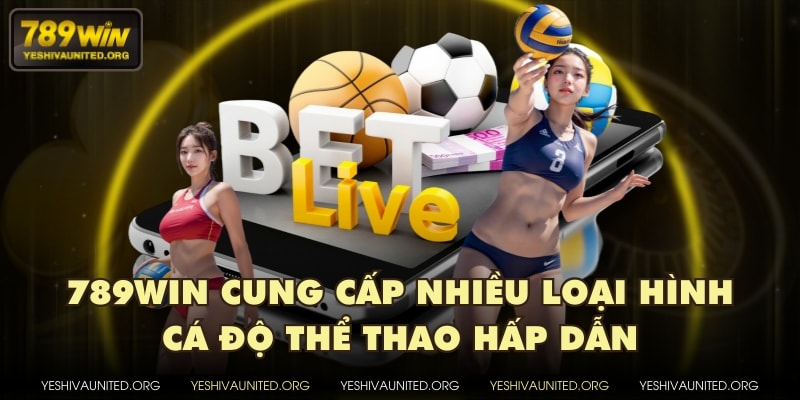 789WIN cung cấp nhiều loại hình cá độ thể thao hấp dẫn