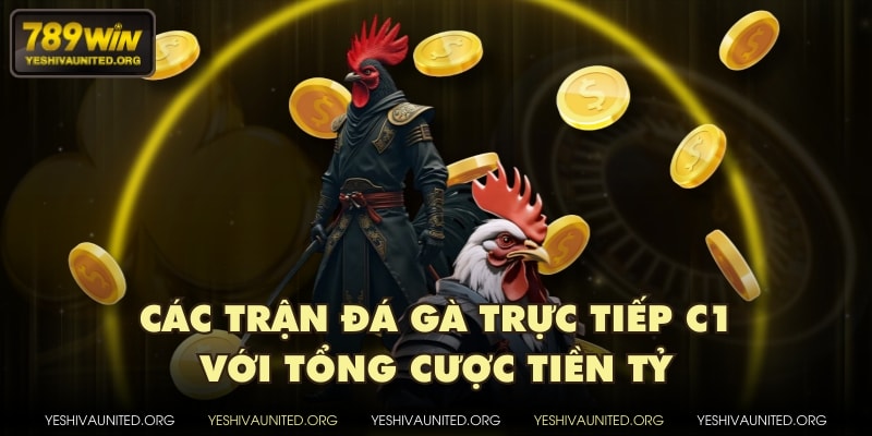 Các trận đá gà trực tiếp C1 với tổng cược tiền tỷ