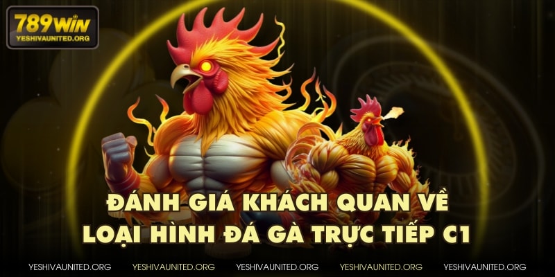Đánh giá khách quan về loại hình đá gà trực tiếp C1