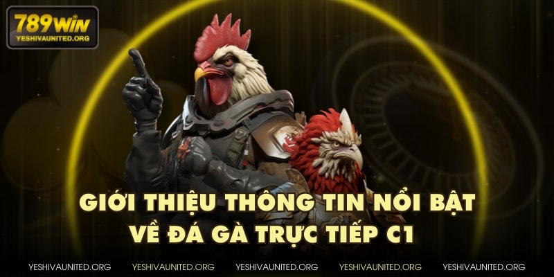 Giới thiệu thông tin nổi bật về đá gà trực tiếp C1