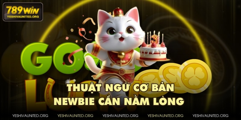 Thuật ngữ cơ bản newbie cần nằm lòng