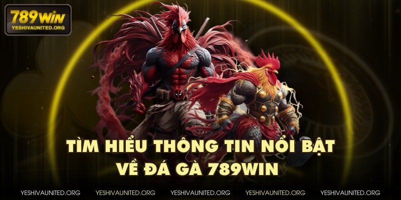 Tìm hiểu thông tin nổi bật về đá gà 789WIN